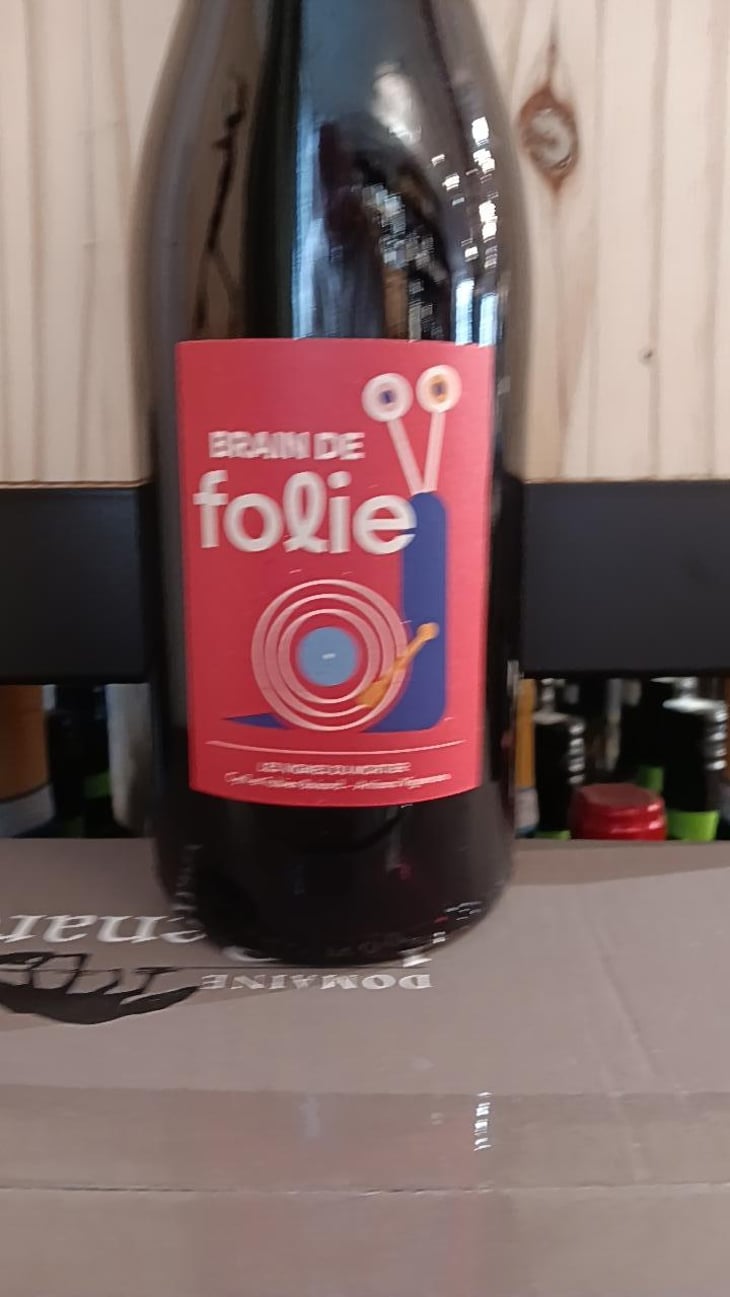 Brain de Folie Grolleau Noir & Cabernet - Domaine du Mortier - Fabien & Cyril Boisard -2022