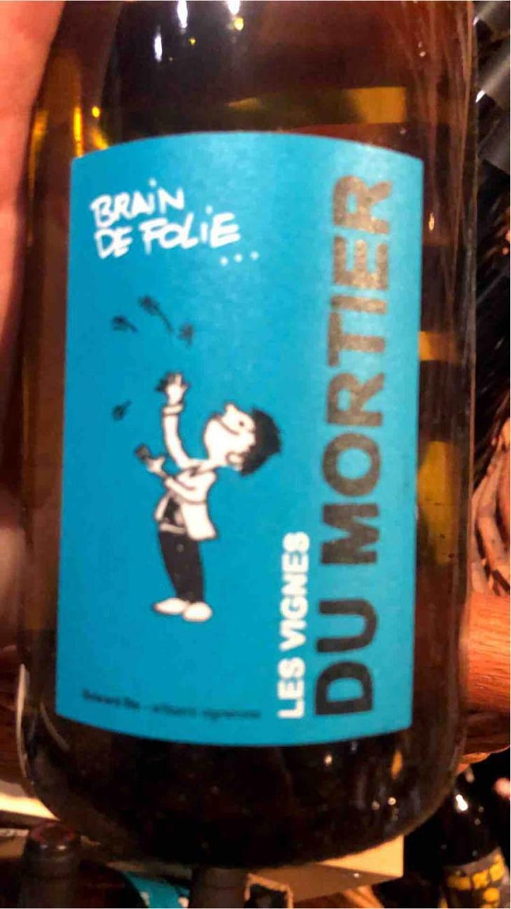 Brain de Folie Rosé - Domaine du Mortier - Fabien & Cyril Boisard 