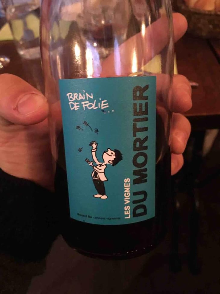 Brain de Folie Rosé - Domaine du Mortier - Fabien & Cyril Boisard 