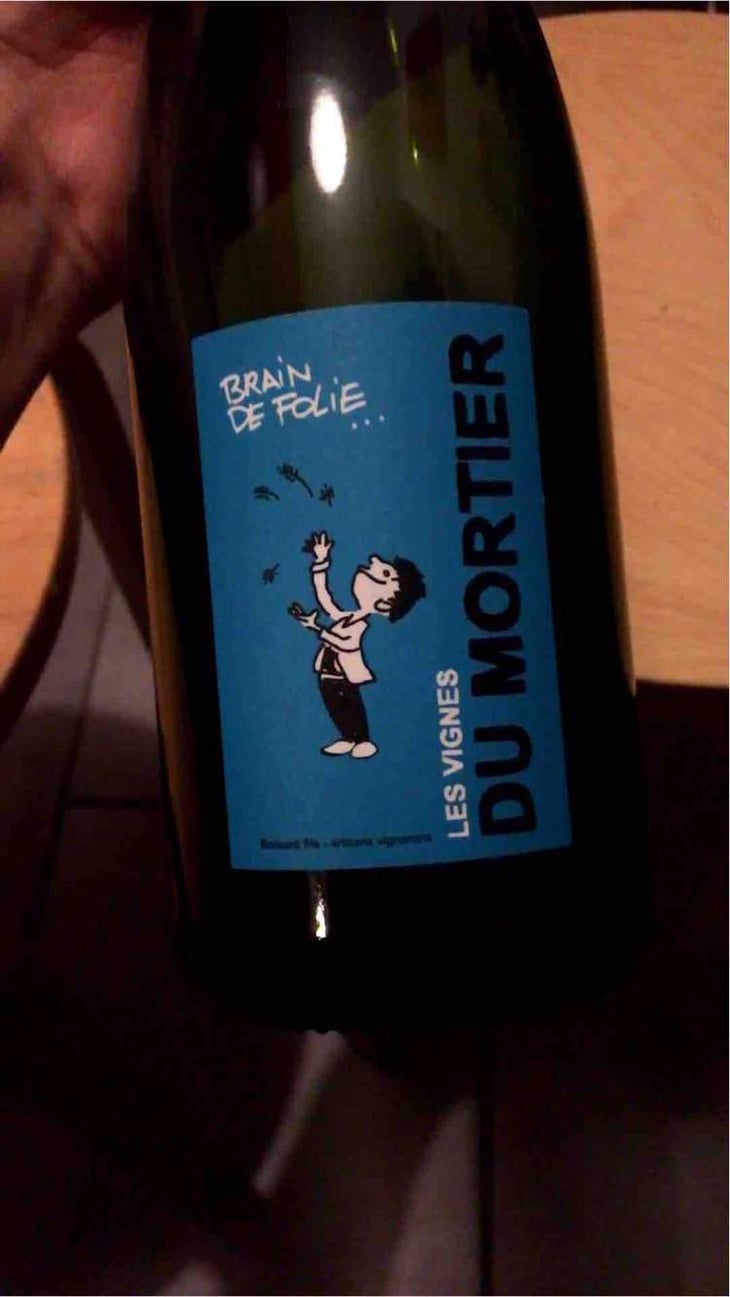 Brain de Folie Rosé - Domaine du Mortier - Fabien & Cyril Boisard 
