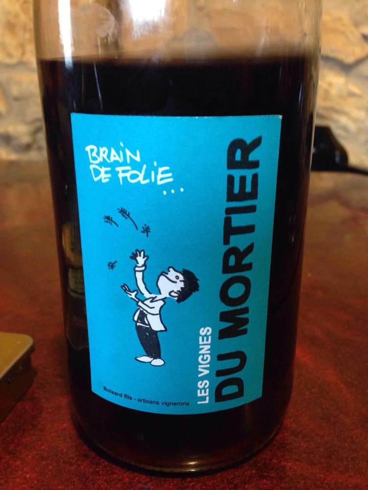 Brain de Folie Rouge (new label) - Domaine du Mortier - Fabien & Cyril Boisard 