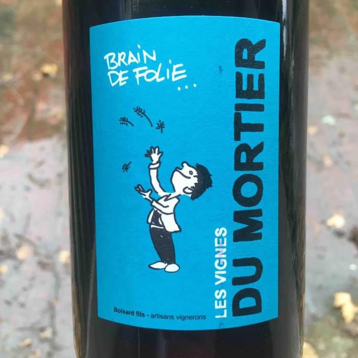 Brain de Folie Rouge (new label) - Domaine du Mortier - Fabien & Cyril Boisard 