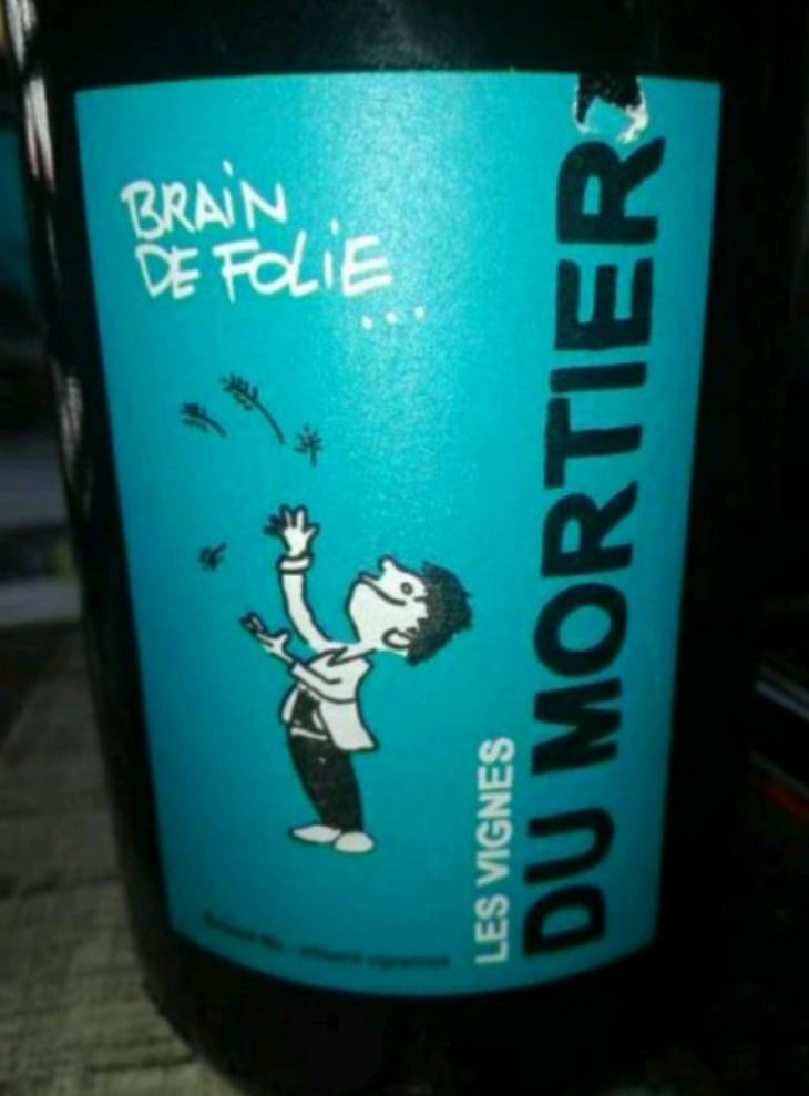 Brain de Folie Rouge (new label) - Domaine du Mortier - Fabien & Cyril Boisard 