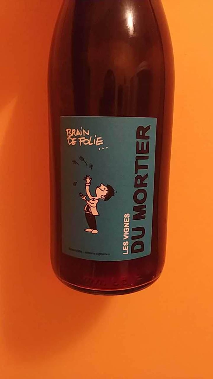 Brain de Folie Rouge (new label) - Domaine du Mortier - Fabien & Cyril Boisard 