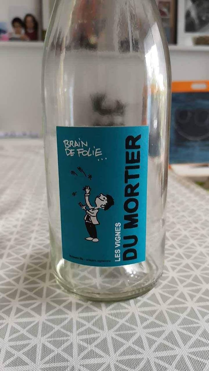 Brain de Folie Rouge (new label) - Domaine du Mortier - Fabien & Cyril Boisard 