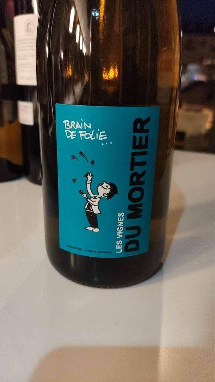 Brain de Folie Rouge (new label) - Domaine du Mortier - Fabien & Cyril Boisard 