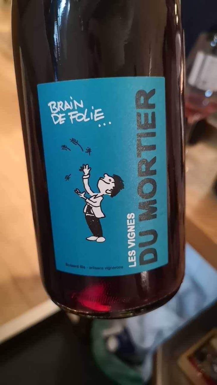 Brain de Folie Rouge (new label) - Domaine du Mortier - Fabien & Cyril Boisard 