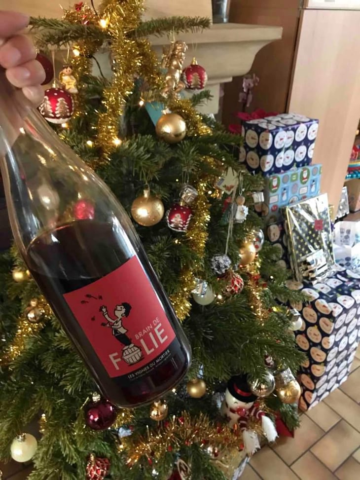 Brain de Folie Rouge (new label) - Domaine du Mortier - Fabien & Cyril Boisard 