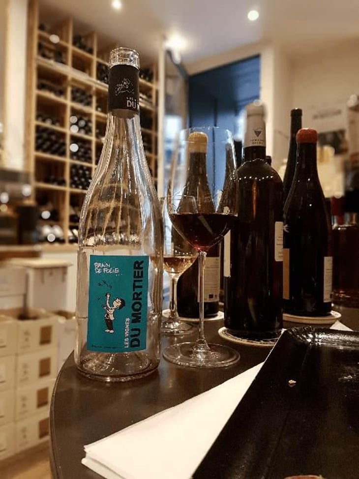 Brain de Folie Rouge (new label) - Domaine du Mortier - Fabien & Cyril Boisard 