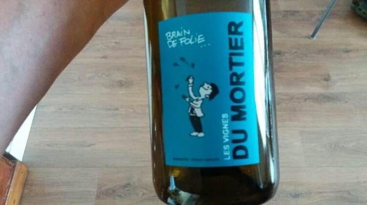 Brain de Folie Sauvignon (old label) - Domaine du Mortier - Fabien & Cyril Boisard 