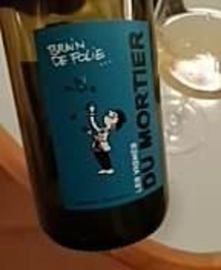 Brain de Folie Sauvignon (old label) - Domaine du Mortier - Fabien & Cyril Boisard 