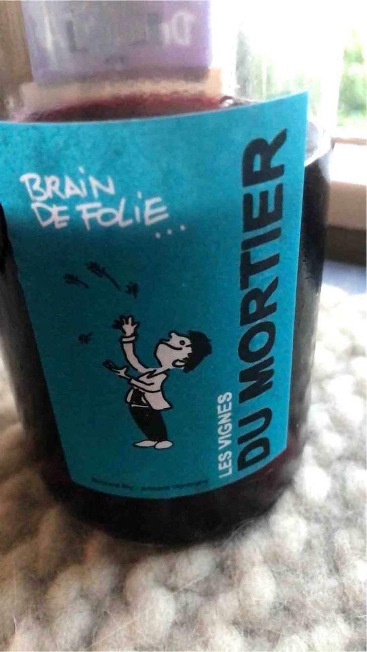 Brain de Folie Sauvignon (old label) - Domaine du Mortier - Fabien & Cyril Boisard 