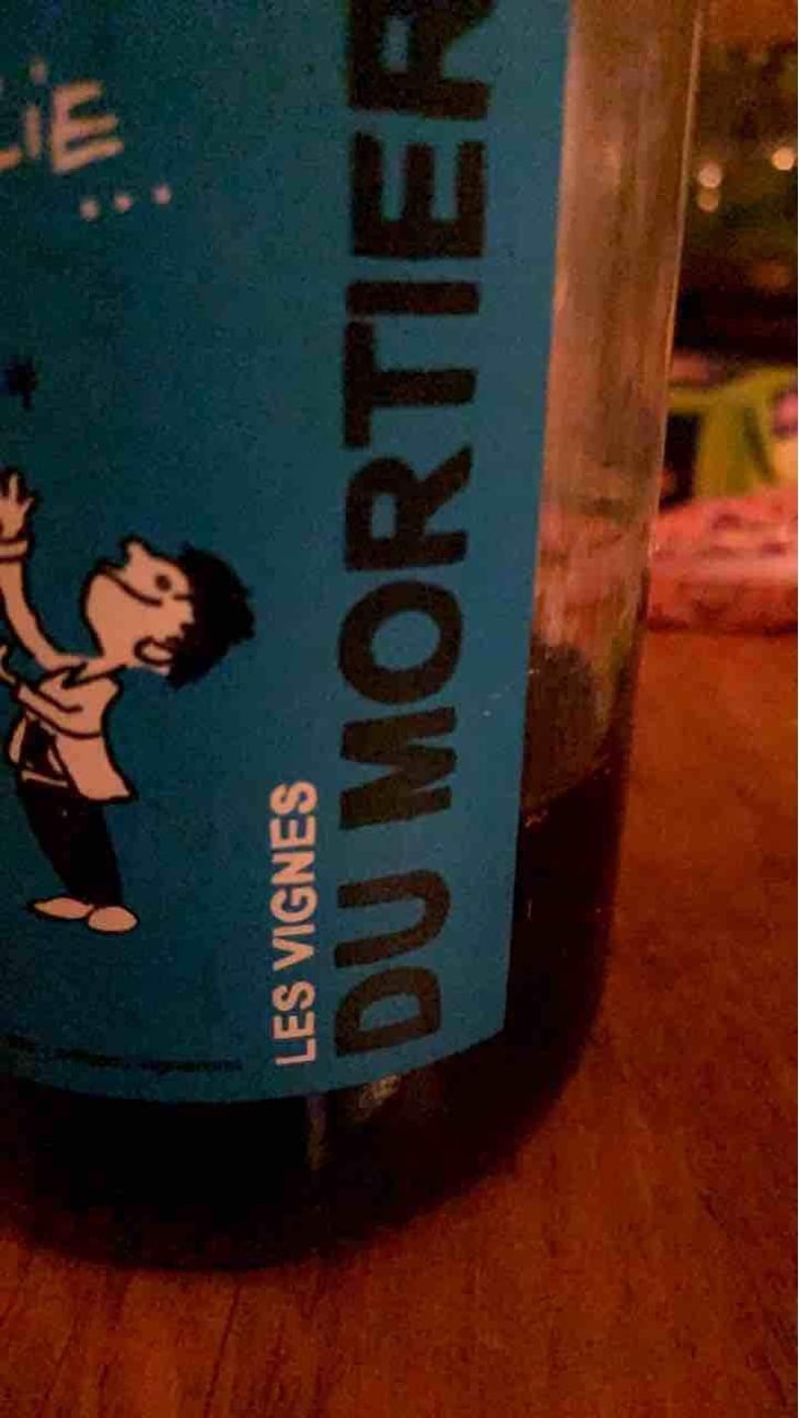 Brain de Folie Sauvignon (old label) - Domaine du Mortier - Fabien & Cyril Boisard 
