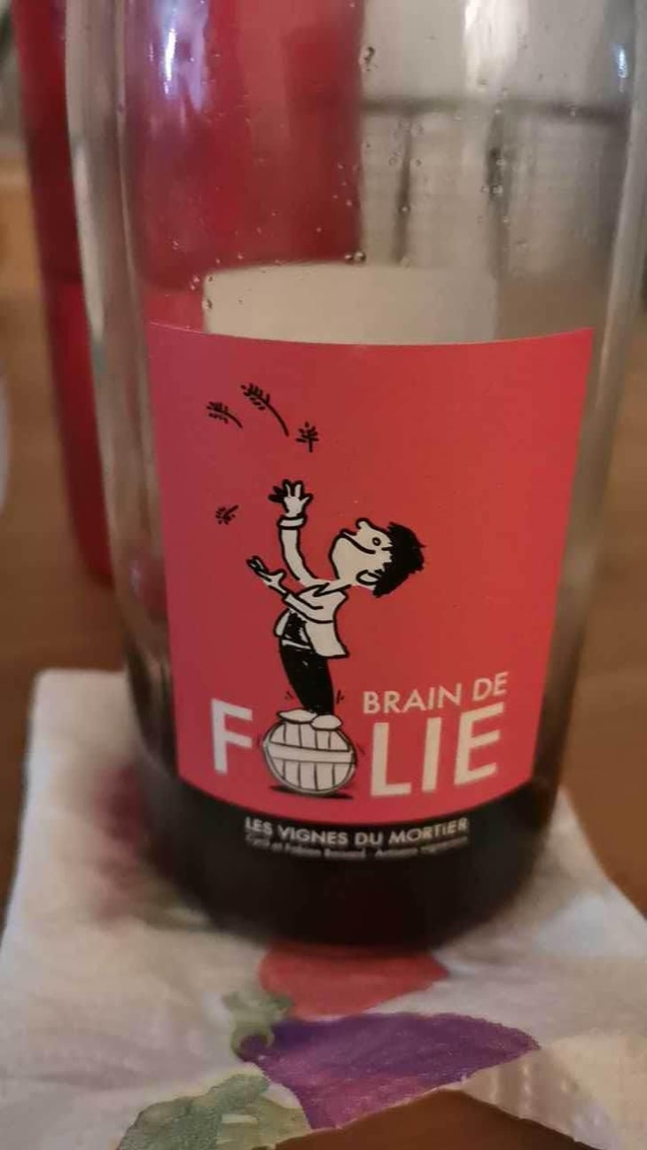 Brain de Folie Sauvignon (old label) - Domaine du Mortier - Fabien & Cyril Boisard 