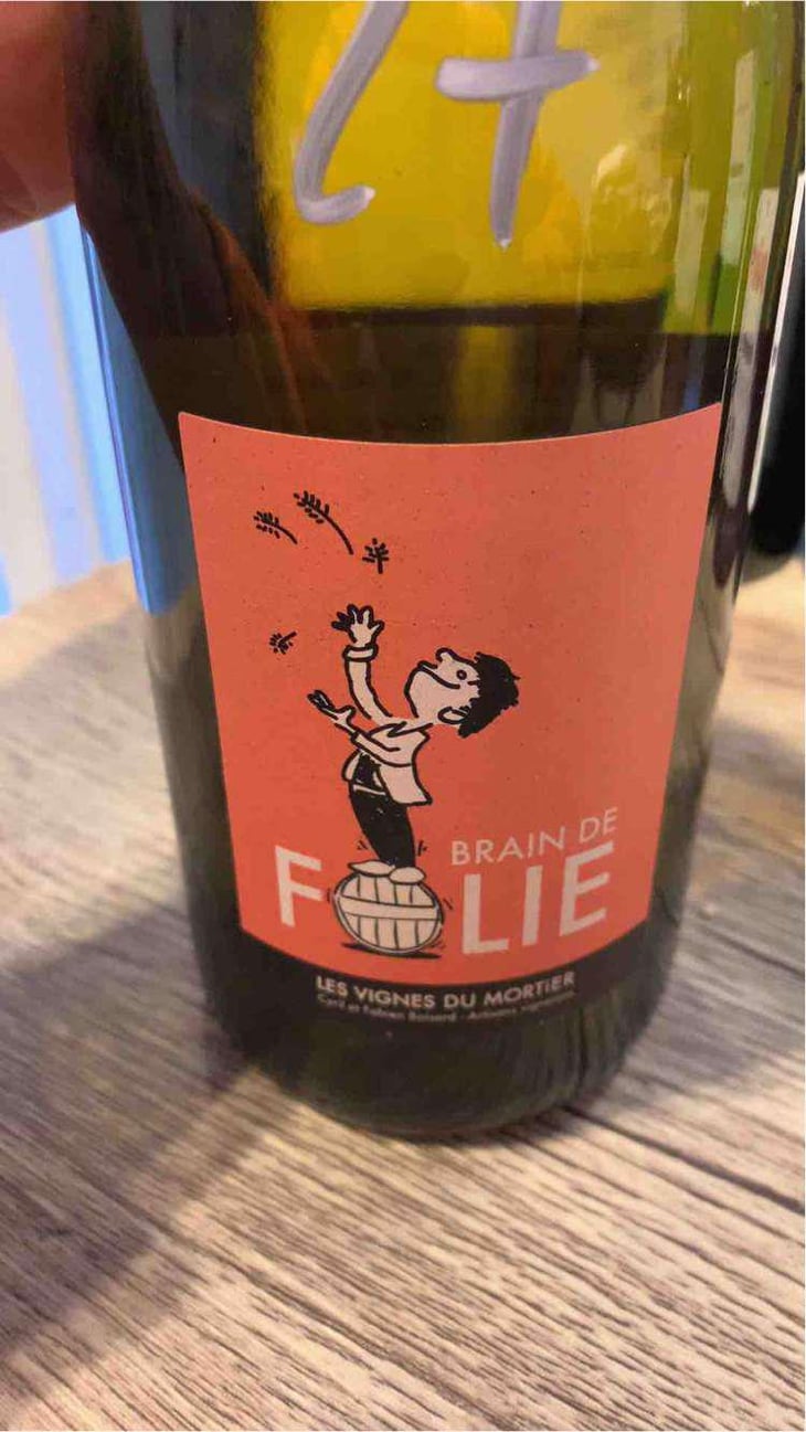 Brain de Folie Sauvignon (old label) - Domaine du Mortier - Fabien & Cyril Boisard 