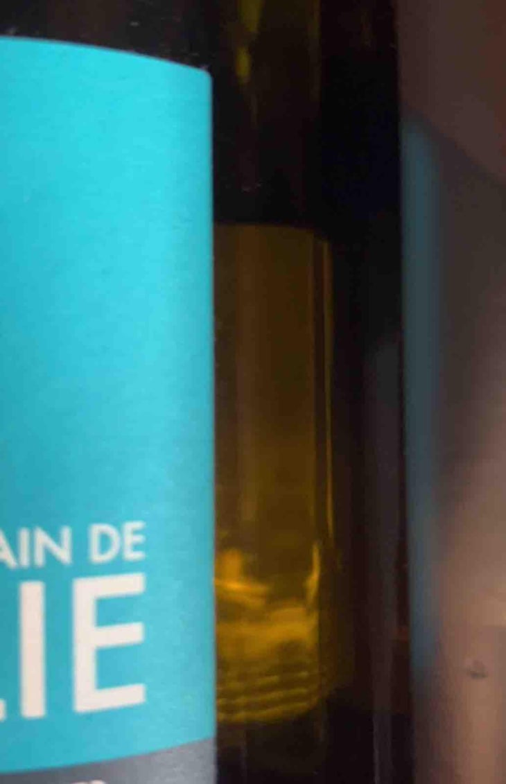 Brain de Folie Sauvignon (old label) - Domaine du Mortier - Fabien & Cyril Boisard 