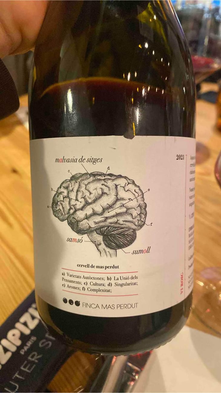 Cervell de Mas Perdut - Finca Mas Perdut - Josep i Rebeca -2021