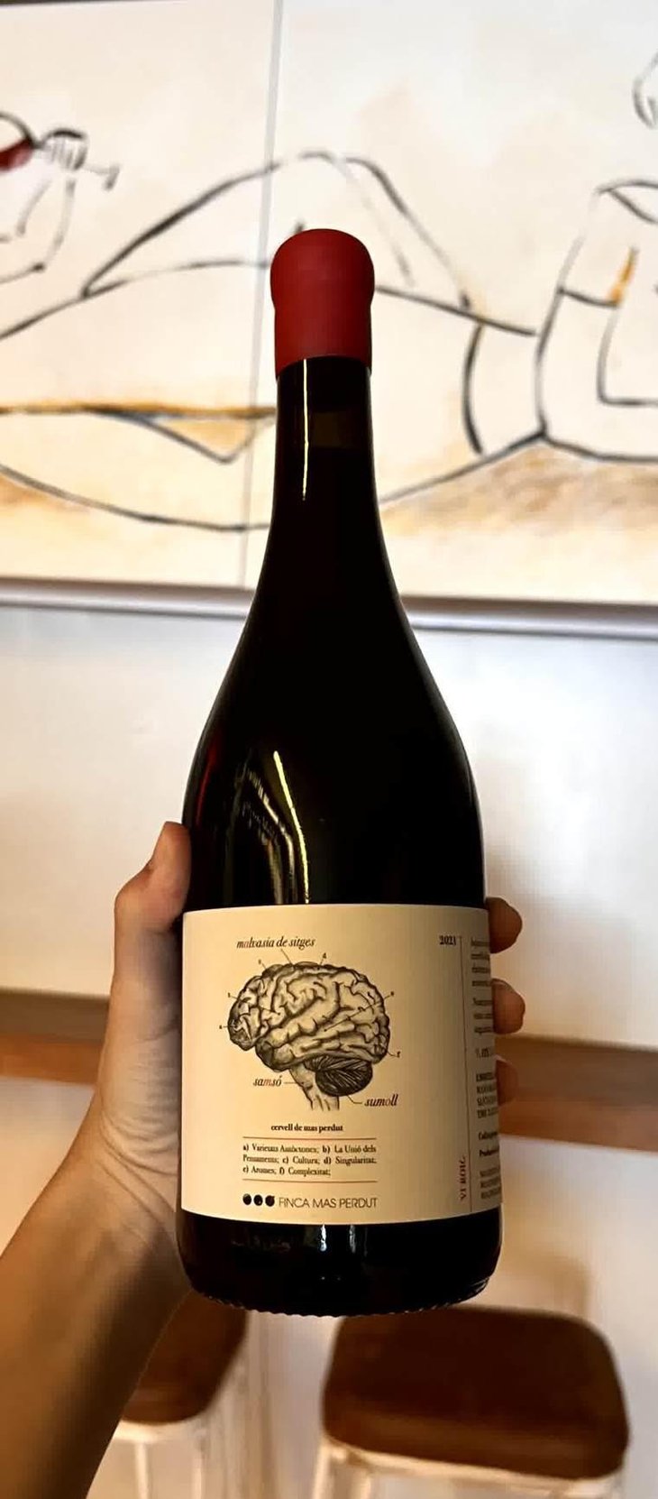 Cervell de Mas Perdut - Finca Mas Perdut - Josep i Rebeca -2021