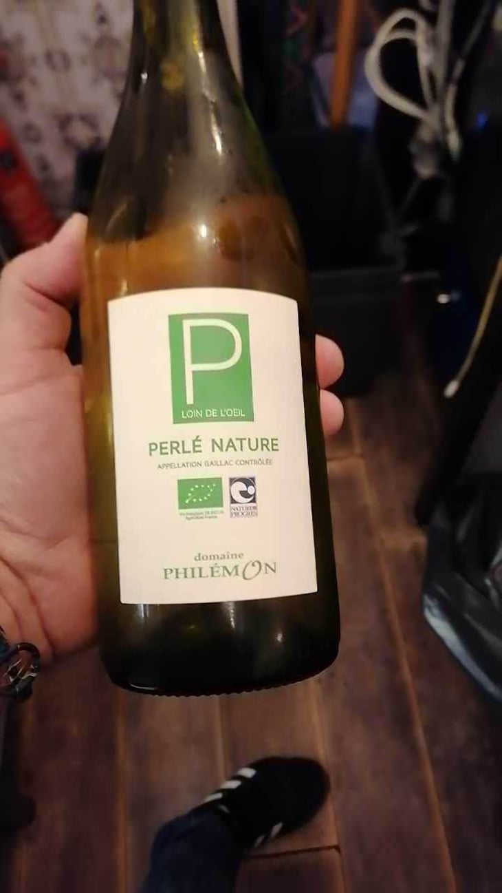Braucol - Domaine Philémon - Mathieu Vieules -2020