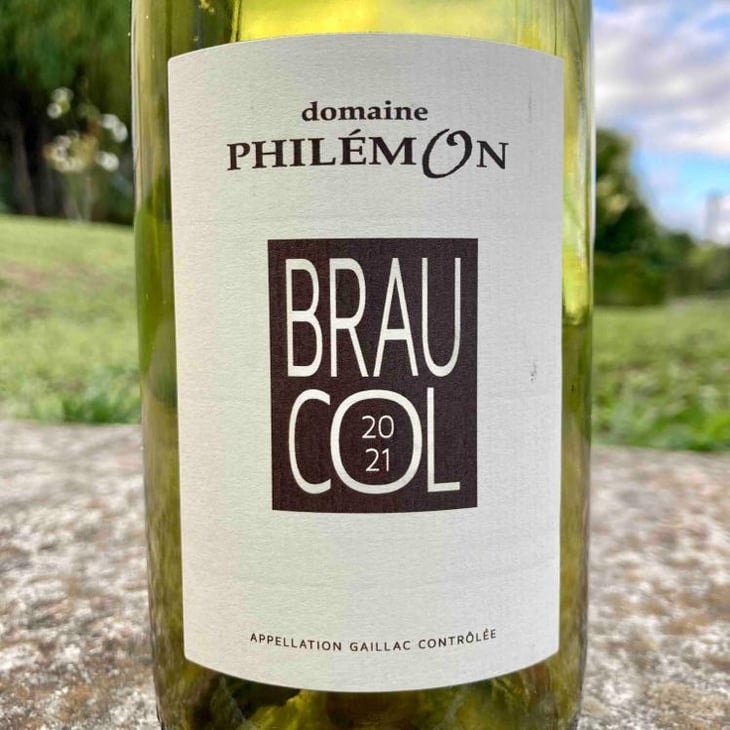 Braucol - Domaine Philémon - Mathieu Vieules -2020