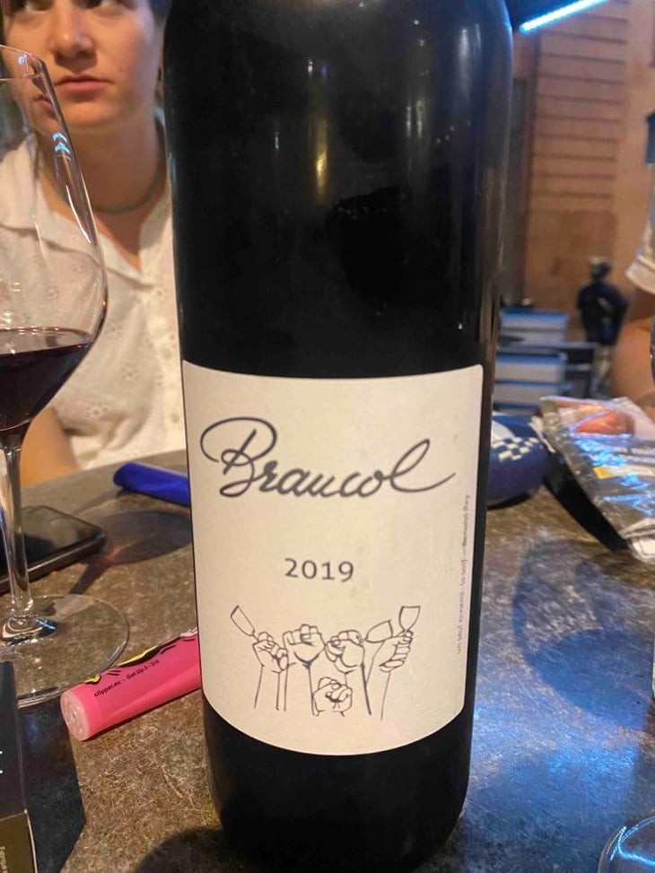 Braucol - Domaine Plageoles - Bernard, Florent & Romain Plageoles 