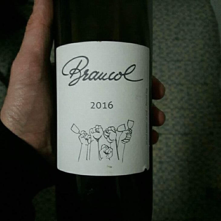 Braucol - Domaine Plageoles - Bernard, Florent & Romain Plageoles 