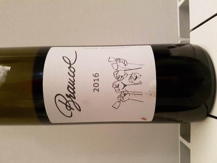 Braucol - Domaine Plageoles - Bernard, Florent & Romain Plageoles 