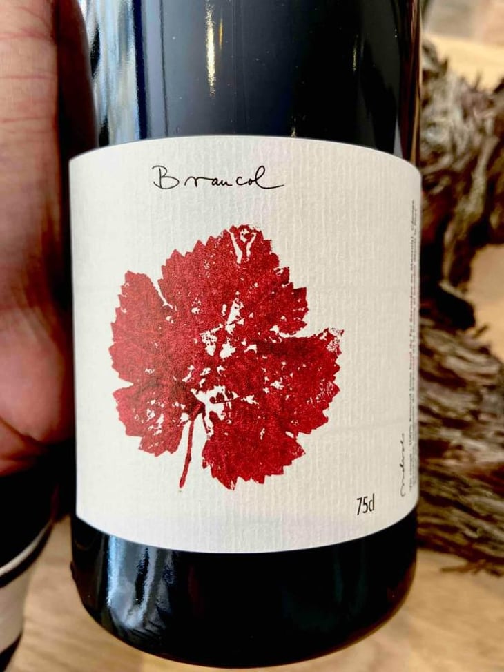 Braucol - Melsolo - Mélanie Kröber 