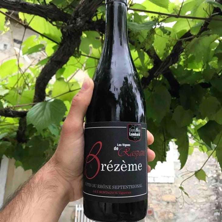 Brézème, Les Vignes de Raspans - Domaine Lombard - Jonathan Alméras & Pauline Sapet 