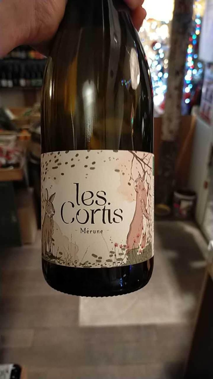 Sillon - Les Cortis - Isabelle & Jérémy Decoster-Coiffier 