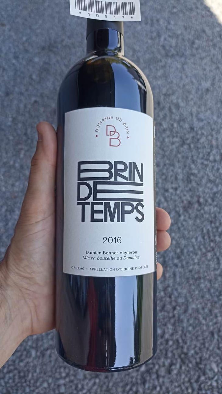 Brin de Temps - Domaine de Brin - Damien Bonnet 