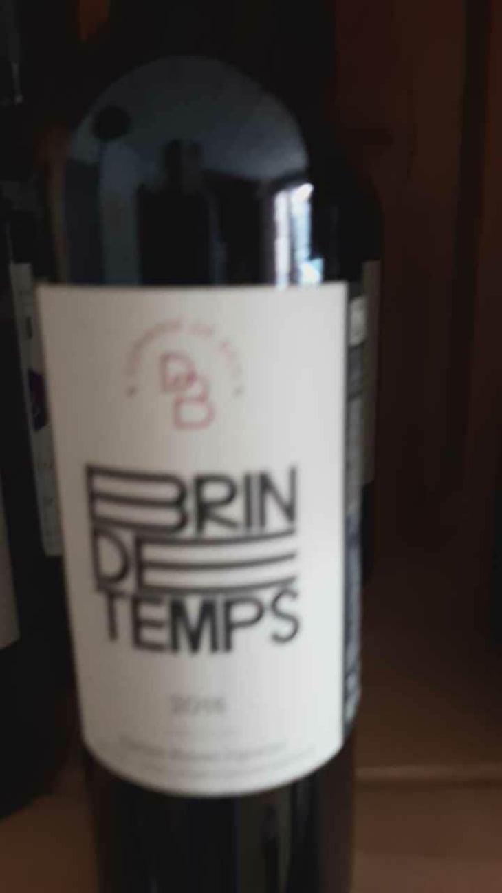 Brin de Temps - Domaine de Brin - Damien Bonnet 