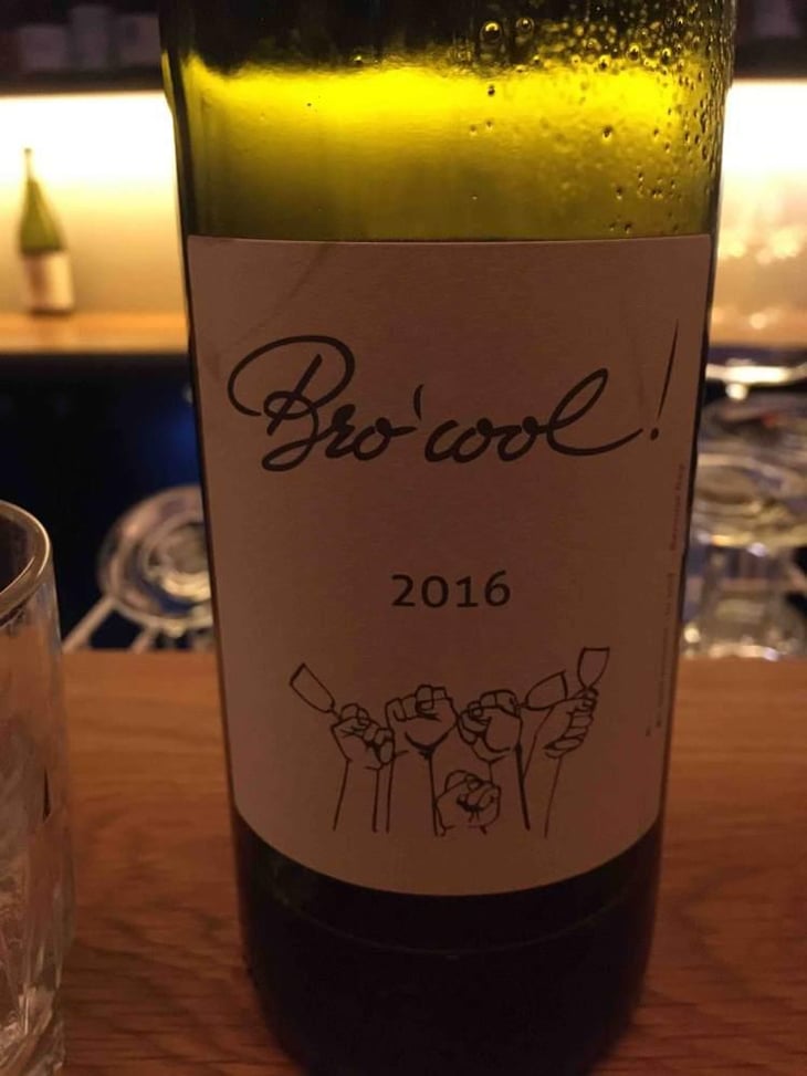 Bro'cool ! - Domaine Plageoles - Bernard, Florent & Romain Plageoles 