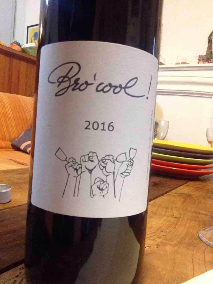 Bro'cool ! - Domaine Plageoles - Bernard, Florent & Romain Plageoles 