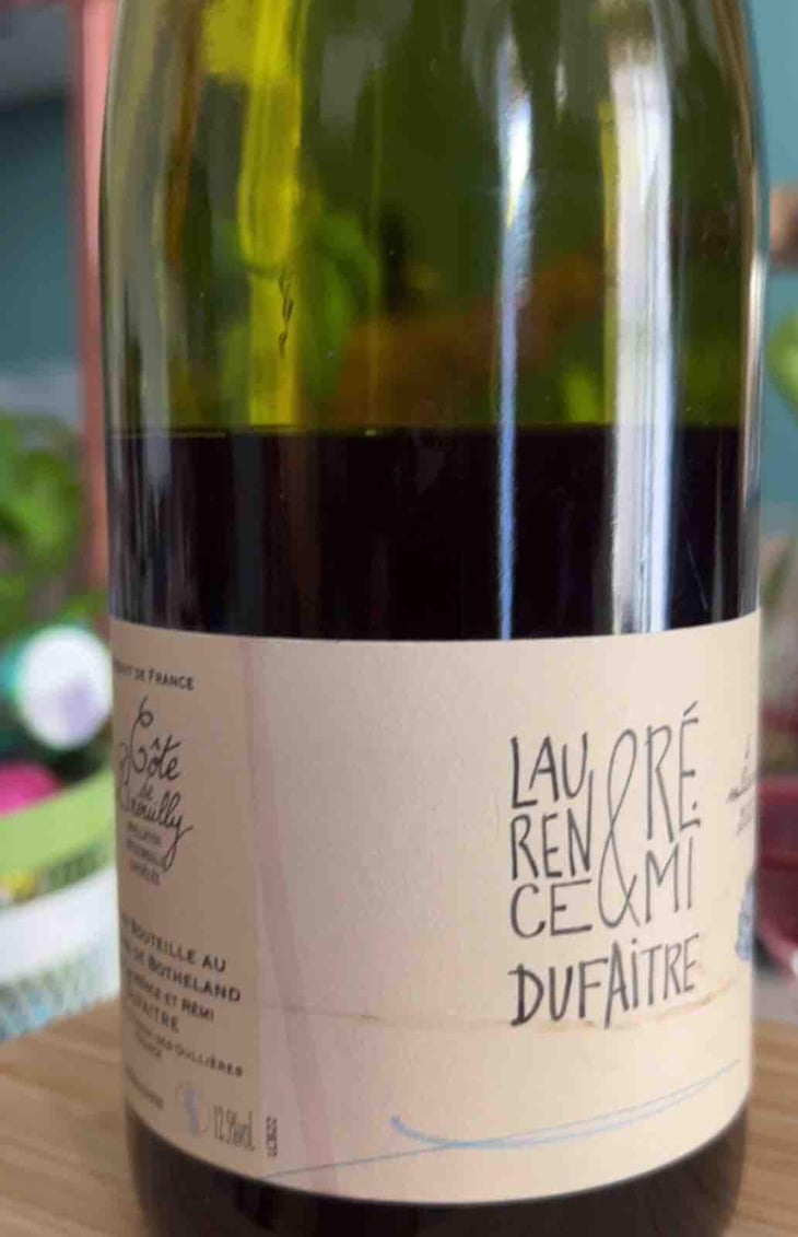 Brouilly - Domaine de Botheland - Rémi Dufaitre & Laurence Liatard 