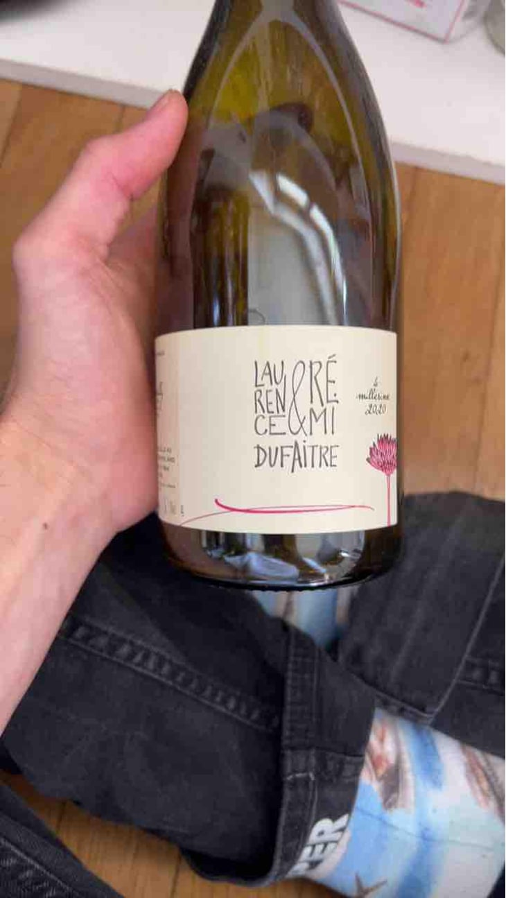 Brouilly - Domaine de Botheland - Rémi Dufaitre & Laurence Liatard 
