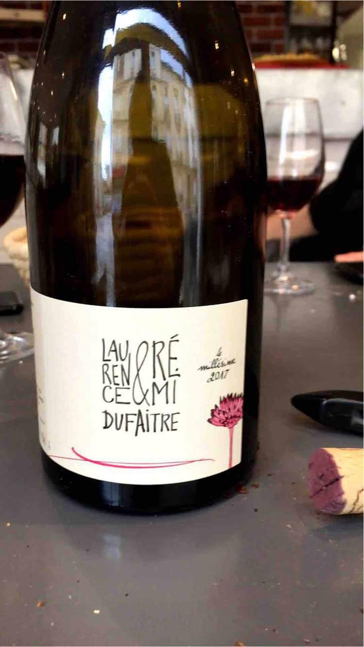 Brouilly - Domaine de Botheland - Rémi Dufaitre & Laurence Liatard 