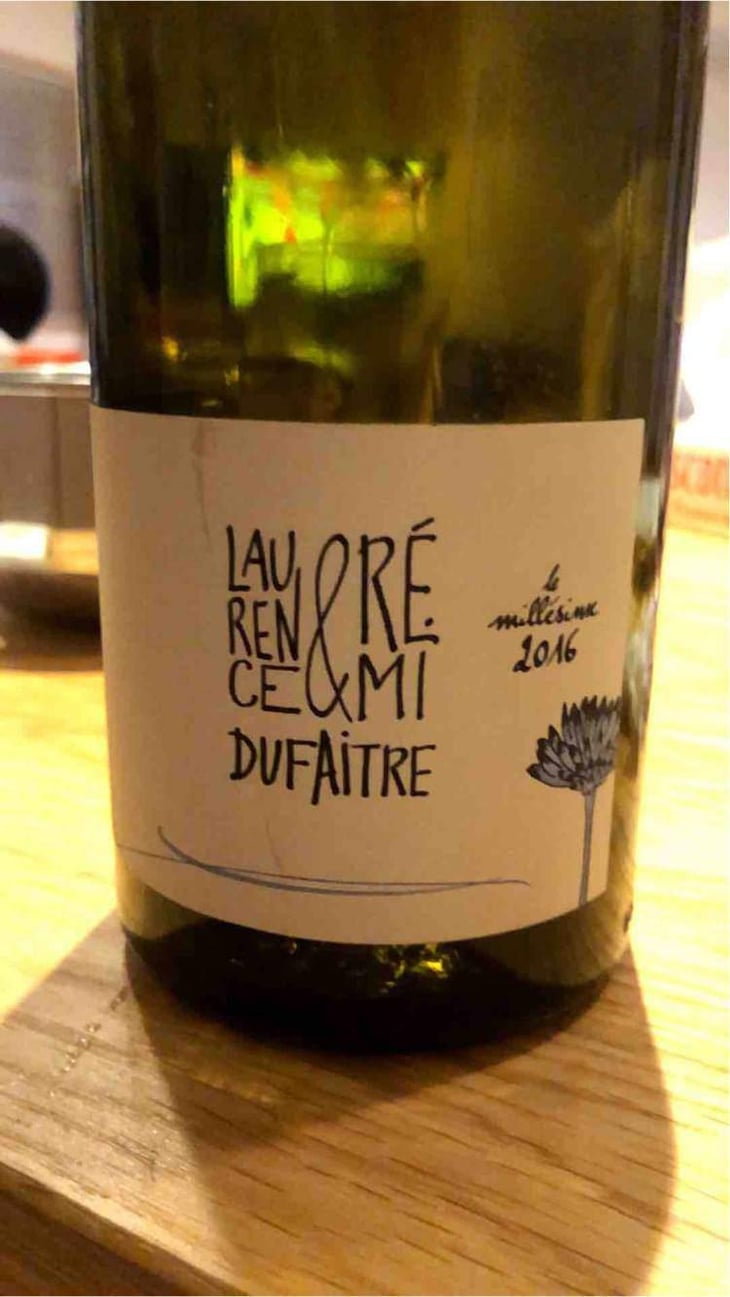 Brouilly - Domaine de Botheland - Rémi Dufaitre & Laurence Liatard 