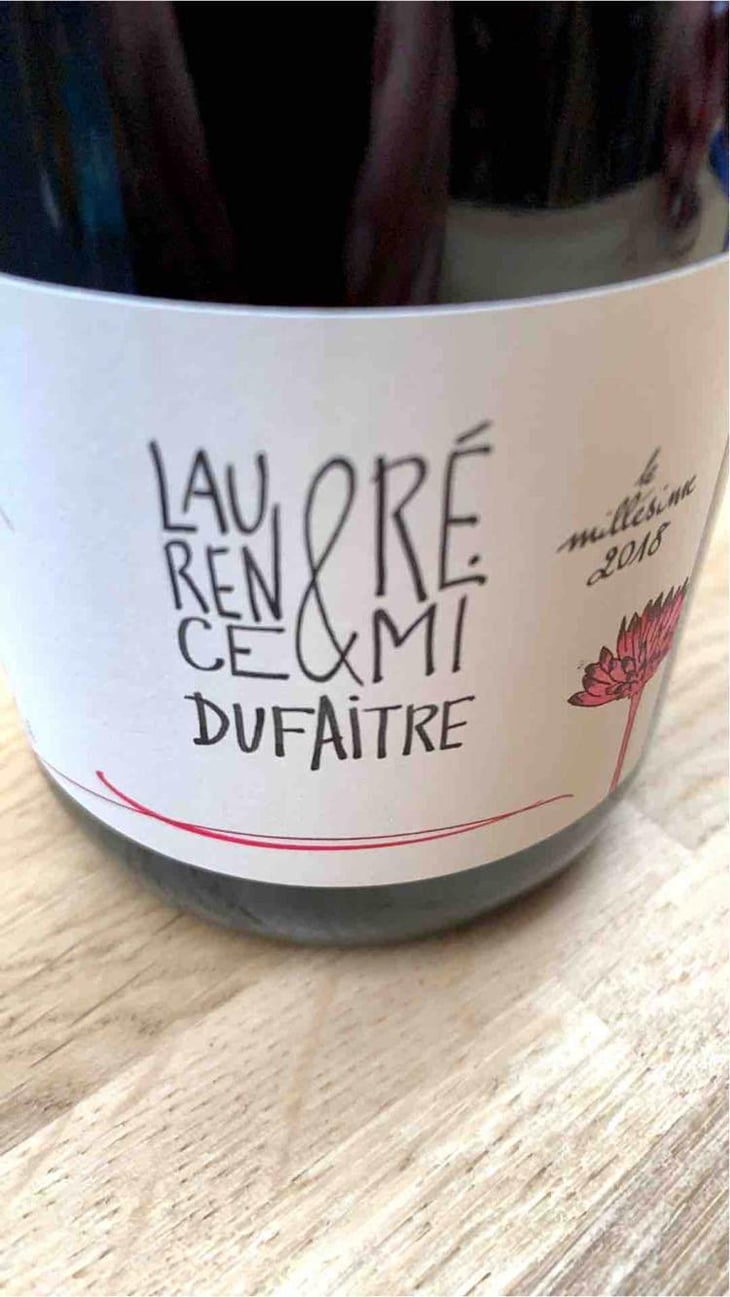 Brouilly - Domaine de Botheland - Rémi Dufaitre & Laurence Liatard 