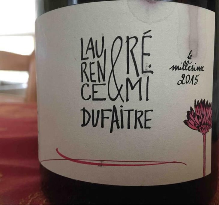 Brouilly - Domaine de Botheland - Rémi Dufaitre & Laurence Liatard 