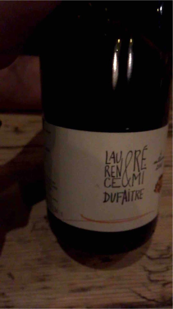 Brouilly - Domaine de Botheland - Rémi Dufaitre & Laurence Liatard 