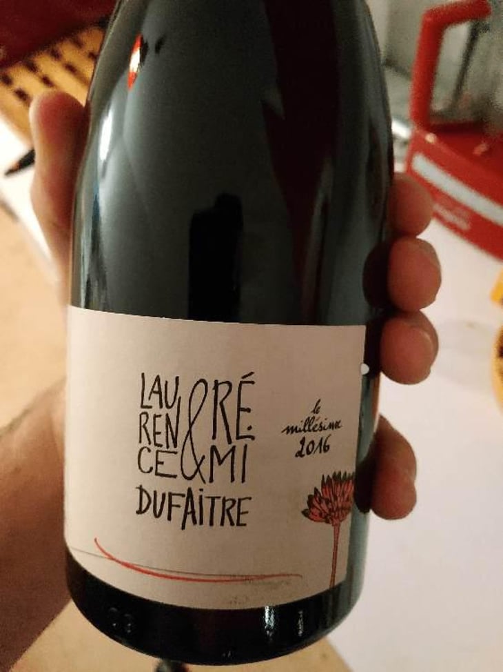 Brouilly - Domaine de Botheland - Rémi Dufaitre & Laurence Liatard 