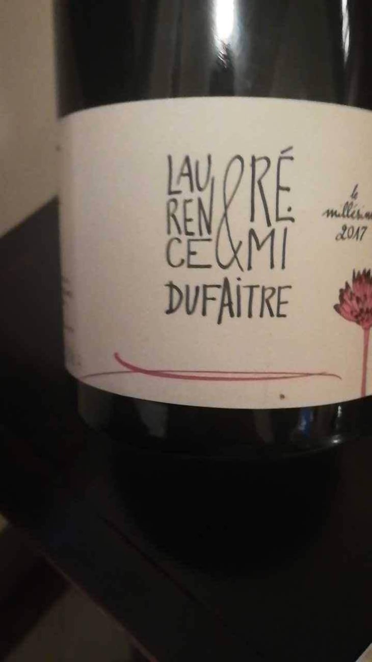 Brouilly - Domaine de Botheland - Rémi Dufaitre & Laurence Liatard 