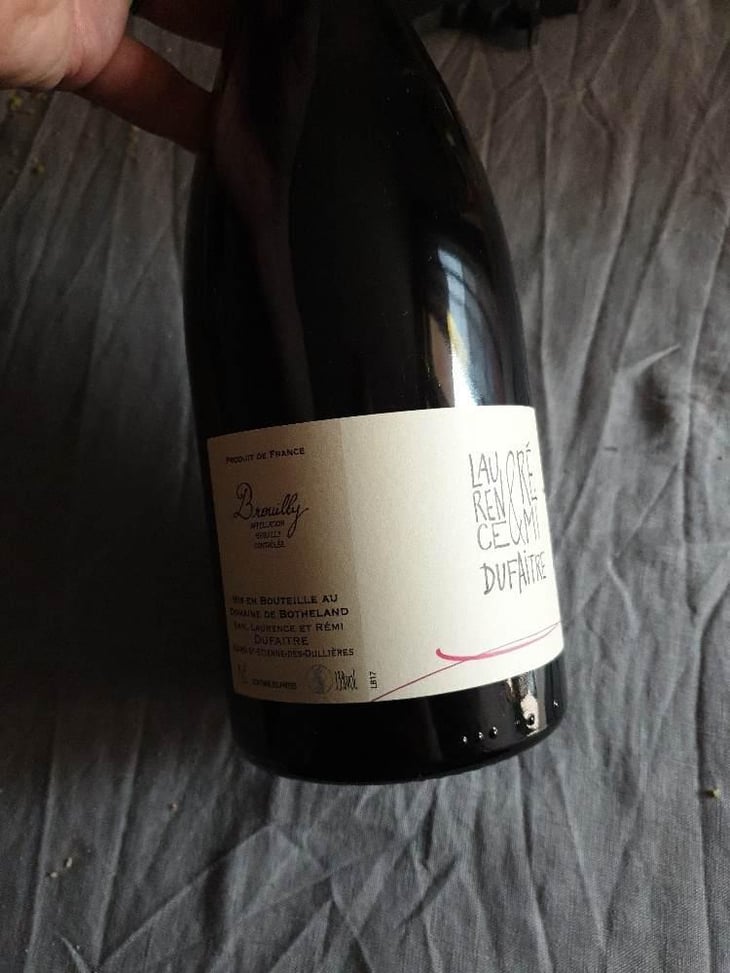 Brouilly - Domaine de Botheland - Rémi Dufaitre & Laurence Liatard 
