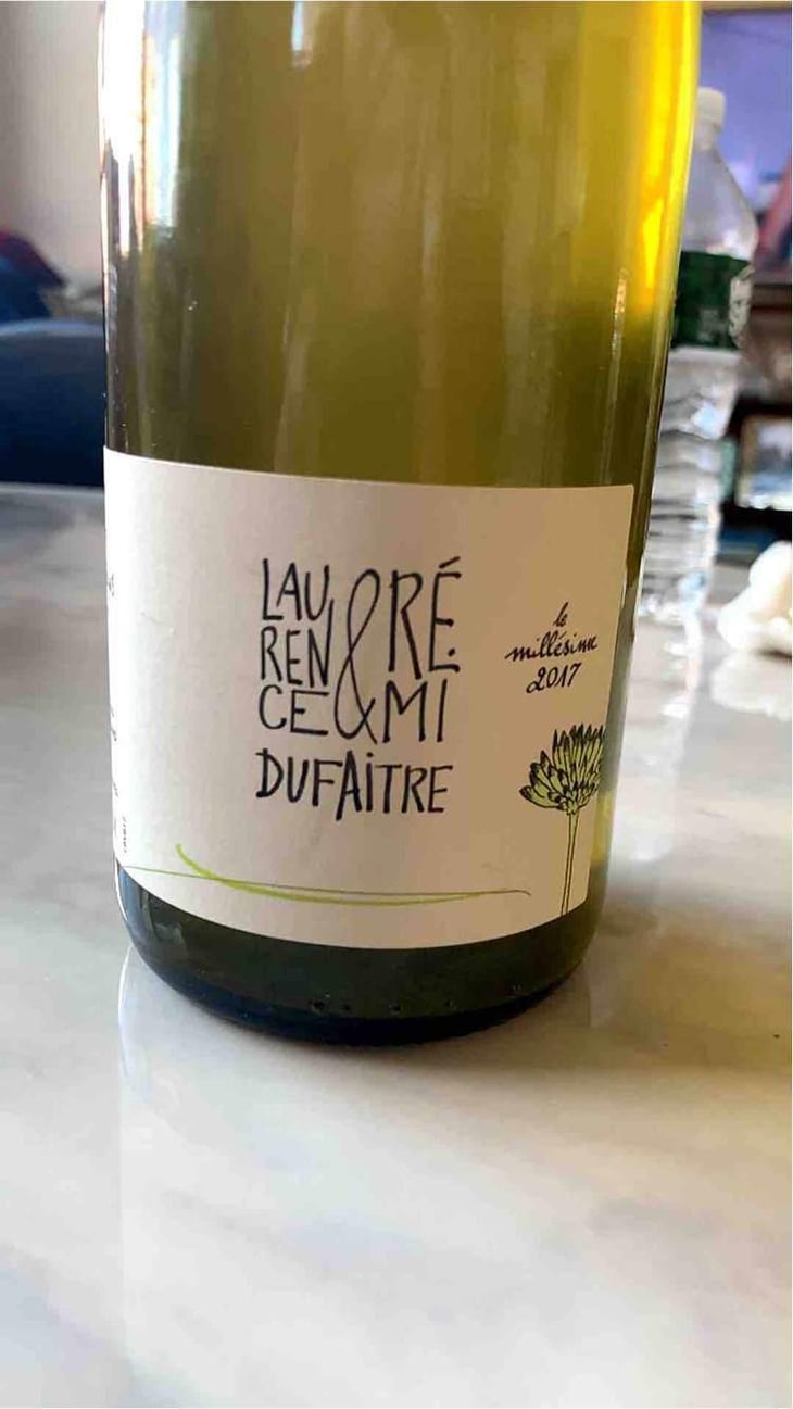 Brouilly - Domaine de Botheland - Rémi Dufaitre & Laurence Liatard 