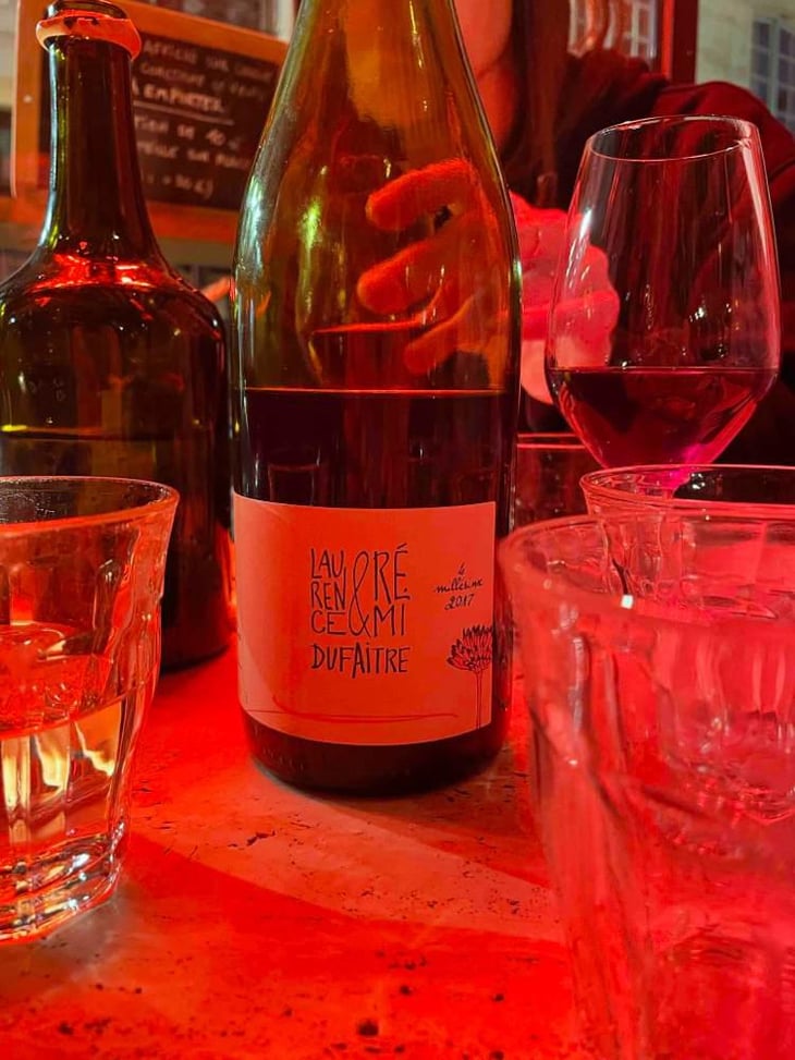 Brouilly - Domaine de Botheland - Rémi Dufaitre & Laurence Liatard 