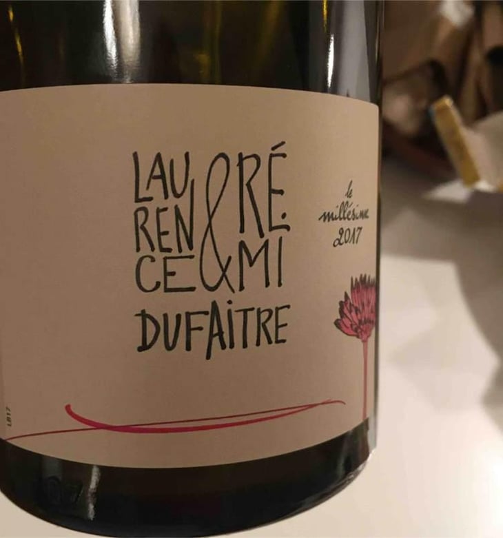Brouilly - Domaine de Botheland - Rémi Dufaitre & Laurence Liatard 