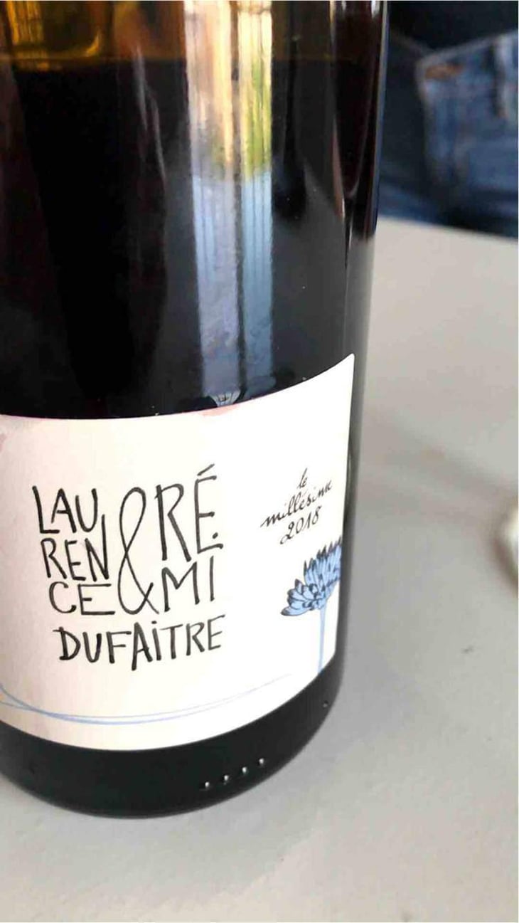Brouilly - Domaine de Botheland - Rémi Dufaitre & Laurence Liatard 