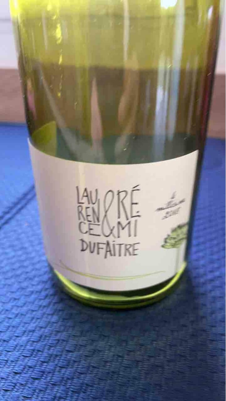 Brouilly - Domaine de Botheland - Rémi Dufaitre & Laurence Liatard 