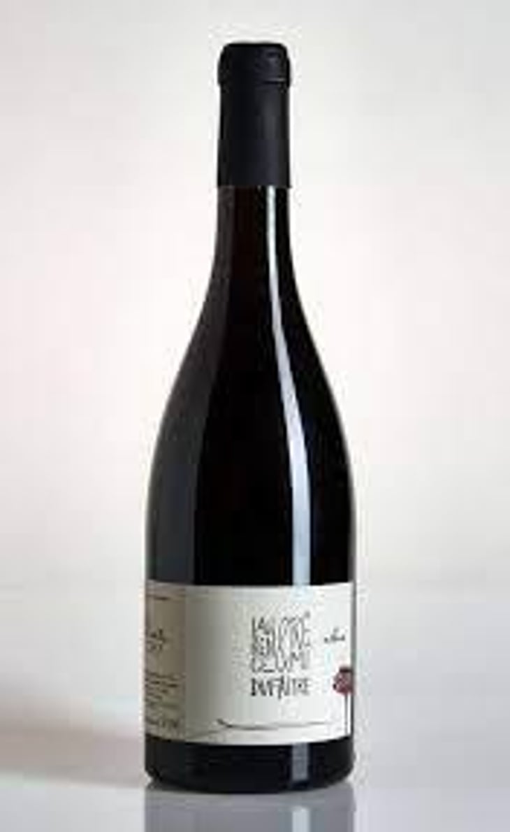 Brouilly - Domaine de Botheland - Rémi Dufaitre & Laurence Liatard 